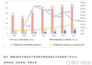 跨境電子支付發展勢頭迅猛 中國對外貿易與電子商務的雙輪驅動機遇。